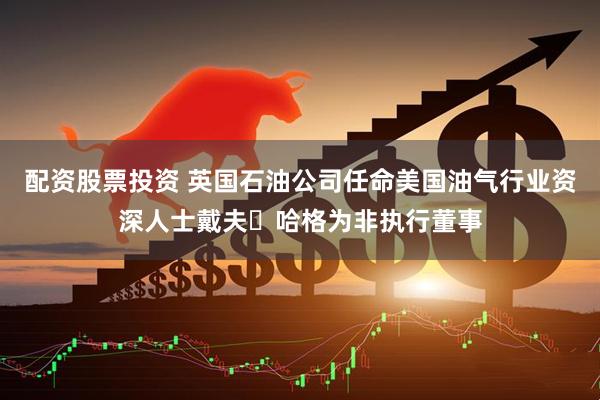 配資股票投資 英國(guó)石油公司任命美國(guó)油氣行業(yè)資深人士戴夫?哈格為非執(zhí)行董事